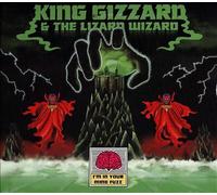 I'm In Your Mind Fuzz, King Gizzard and The Lizard Wiza, New