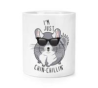 I'm Just Chinchillin' Chinchilla Makeup Brush Pencil Pot