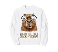 Im Just Here For Snacks And Naps Funny Capybara Glasses Sweatshirt