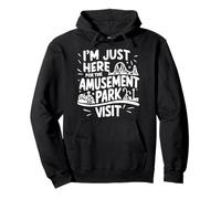 Im Just Here for the Amusement Park Visit Fun Roller Coaster Pullover Hoodie