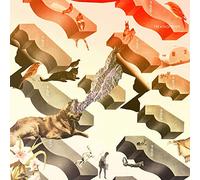 I'm Kingfisher - Transit