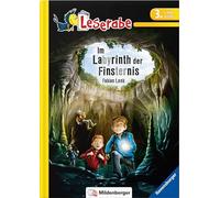 Im Labyrinth der Finsternis: Lesestufe 3 - Leichter Lesen mit der Silbenmethode