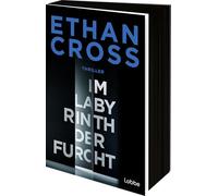 Im Labyrinth der Furcht: Thriller. Ein neuer Francis-Ackerman-jr-Thriller vom Bestseller-Autor
