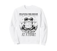 I'm Living The Dream One Bad Decision At A Time (Funny Frog) Sweatshirt