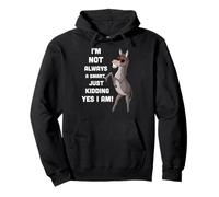 I'm Not Always A Smart Ass, Just Kidding Yes I Am! Pullover Hoodie