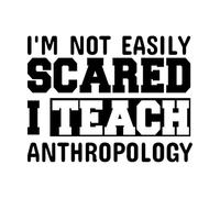 I'm not Easily SCA i Teach Anthropology Vinyl Art Sticker 40x52.2cm Art Mural Painting Black