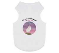 'I'm not ghosting you I'm just shy' Pet Dog/Cat T-Shirt (PT00151465)