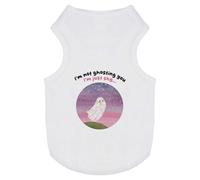 'I'm not ghosting you I'm just shy' Pet Dog/Cat T-Shirt (PT00151467)
