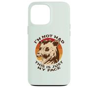 I'M NOT MAD THIS IS JUST MY FACE Funny Possum Scream Meme Case for iPhone 13 Pro Max