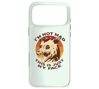 I'M NOT MAD THIS IS JUST MY FACE Funny Possum Scream Meme Case for iPhone 17 Pro Max