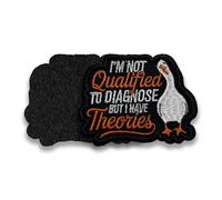 I'm Not Qualified to Diagnose But I Have Theories Hook and Loop Patches Silly Goose, Nurse Doctor Medical, Embroidered Fabric Applique Patch for Trucker Hats Clothes Backpack, Jackets DIY Accessories