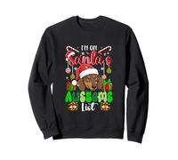 I'm On Santa's Awesome List Christmas Santa Dachshund Lover Sweatshirt