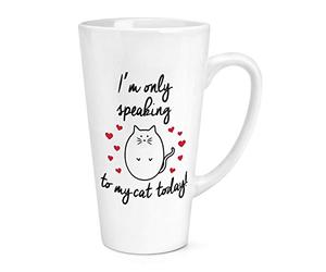 I'm Only Speaking to My Cat Today 17oz Large Latte Mug Cup