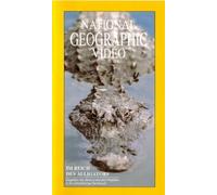 Im Reich des Alligators - National Geographic