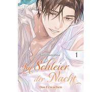 Im Schleier der Nacht: Das Erwachen 01 (Im Schleier der Nacht 03): Das Sequel des spannenden Mystery-BLs