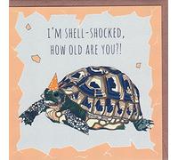 I'm Shell-Shocked, How Old are You?! - Quirky Tortoise Birthday Card Hand Drawn