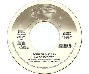 I'M SO EXCITED 12 INCH (12" VINYL) UK PLANET 1984