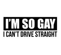 I'm So Gay I Can't Drive Straight Funny Bumper Car Decal Vinyl Sticker Window Laptop (Black)