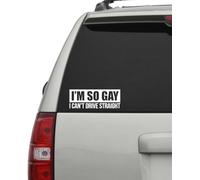 I'm So Gay I Can't Drive Straight Funny Bumper Car Decal Vinyl Sticker Window Laptop (White)