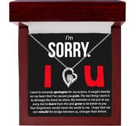 I'm Sorry Necklace Gift, Apology Gift for Her, Meaningful Forgiveness Pendant with Message Card, Sentimental Sorry Gift for Girlfriend or Wife
