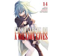 I'm Standing on a Million Lives 14 (IM STANDING ON MILLION LIVES GN)