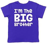 I'm The Big Brother Cute Childrens Kids Short Sleeve T-Shirt