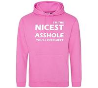 I'm The Nicest A**hole You'll Meet! Unisex Funny Hoodie, Comedic Printed Jumper, 11 Colour choices Light Pink