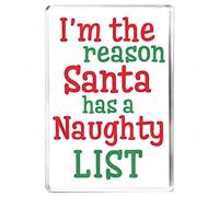 I'm The Reason Santa Has A Naughty List - Fridge Magnet - Novelty