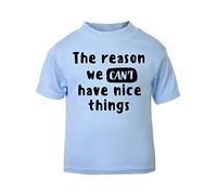 I'm The Reason we Can't Have Nice Things Statement [BBY5] Short Sleeve Cotton Toddler t Shirt, 2-3 Years, Pastel Blue