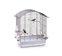 IMAC Imac Agate Chinchilla Cage, Blue, 49 cm L x 33 cm W x 63 cm H, Easy Access, Made in Italy, Includes Sticks, Feeders, Drinking, Top Opening, Folding with Hook, Removable Drawer