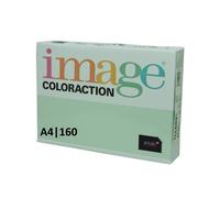 Image Coloraction A4 160gsm Paper/Card - 250 Sheets (1 Pack) Pastel Green Forest
