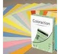 Image Coloraction A4 Coloured Paper (A4 210mm x 297mm) 80gsm Atoll (Pale Ivory) - 500 Sheets