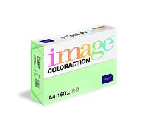 Image Coloraction Forest Coloured Copier Paper, DIN A4, 210 x 297 mm, 160 g/m², Colourful, Wood-Free Printer Paper for Copiers, 250 Sheets, Green