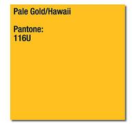 Image COLORACTION Gold (Hawaii) A4 210X297MM 80GM2 FSC4 x 500