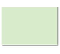 Image COLORACTION Pale Green (Jungle) A4 210X297MM 100GM2 FSC4 x 500