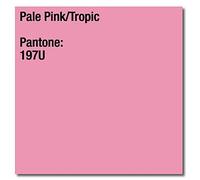 Image COLORACTION Pale Pink (Tropic) A4 210X297MM 120GM2 FSC4 x 250