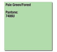 Image COLORACTION Pastel Green (Forest) A3 297X420MM 80GM2 FSC4 x 500