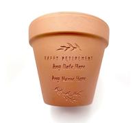 Image Industry Personalised Retirement Terracotta Plant Pot