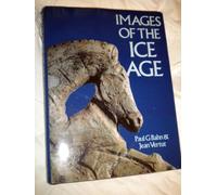 Images of the Ice Age