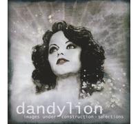 Images Under Construction-Selections