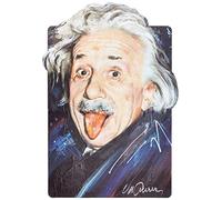 Imagicom Einstein Maxi Wall Sticker, Fabric, Multicoloured, 70 x 100
