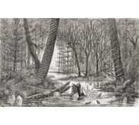Imaginary view of a forest of the Carboniferous or coal age. From The Universe or The Infinitely Great and the Infinitely Little published 1882. Poster Print by Ken Welsh (19 x 12)