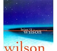 Imagination by Brian Wilson (1998-06-16)