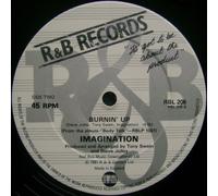 IMAGINATION - Flashback / Burnin' up / RBL 206