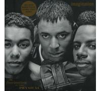 Imagination - The Fascination Of Physical