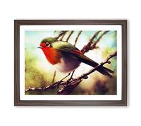 Imaginative Robin Bird H1022 Framed Print for Living Room Bedroom Home Office Décor, Wall Art Picture Ready to Hang, Walnut A4 Frame (34 x 25 cm)