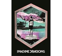 Imagine Dragons FLAG/BRAND POSTER FLAG FRAMED