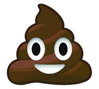 Imagine This EM1002 Car Magnet (Poop Emoji)