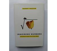 Imagining Numbers