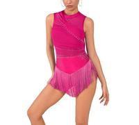 IMEKIS Women's Latin Jazz Dance Dress Mesh Patchwork Sleeveless Backless Sparkle Rhinestones Fringe Tassel Dress Tango Rumba Cha-Cha Dancewear Ballroom Costume Hot Pink S